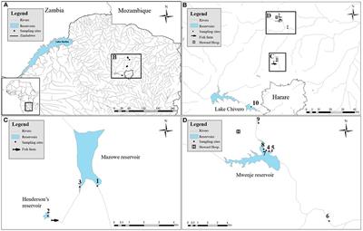 Exposing the Barcoding Void: An Integrative Approach to Study Snail-Borne Parasites in a One Health Context